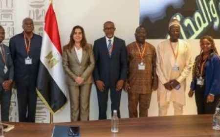 تفاصيل لقاء وزيرة التنمية المحلية بخبير برنامج اللامركزية والحوكمة بالوكالة الألمانية للتعاون الدولي