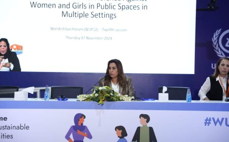 بعد تجربة "مدن خالية من العنف ضد النساء".. وزيرة التنمية المحلية: نسعى لتكرارها في المحافظات