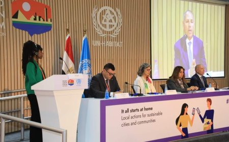 محافظة القاهرة تتلقي شهادة تقدير من وكيلة الأمين العام للأمم المتحدة