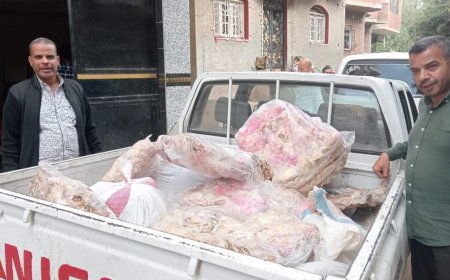 محافظة الجيزة تضبط ١.٥ طن لحوم ومصنعاتها غير صالحة للاستهلاك الادمي بثلاجة بالبدرشين