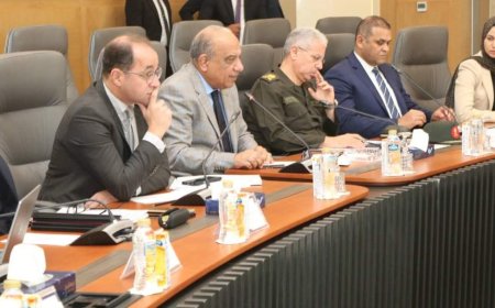 وزيرا الكهرباء والمالية يجتمعان مع المدير التنفيذي لهيئة الدولة للطاقة النووية الروسية" روسآتوم"