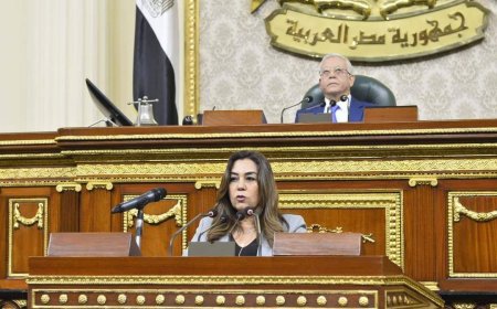 وزيرة التنمية المحلية تعرض أولويات عمل الوزارة لمواجهة التحديات التي تواجه المحليات بمجلس النواب