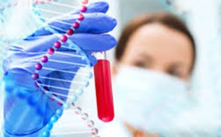 أمنية شكري تكتب: مجلة نيتشر الفرعية: اختبار دم أكثر ذكاءً يوفر تشخيصًا أسرع ويحسن النتائج