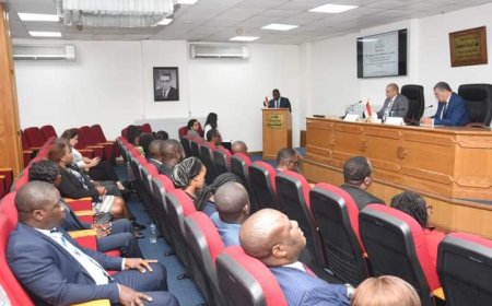 معهد الدراسات الدبلوماسية ينظم دورة تدريبية   للدبلوماسيين من الدول الأفريقية الناطقة باللغة الإنجليزية