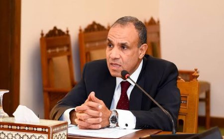 مصر تكبدت خسائر 8 مليارات دولار منذ بداية العدوان على غزة