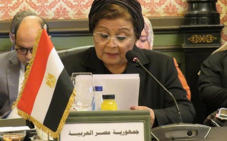 الدكتورة عبلة الألفي نائب وزير الصحة: مصر تؤكد دورها المحوري في تعزيز التنمية البشرية ودعم العدالة الاجتماعية