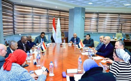 وزير التربية والتعليم يبحث تعزيز التعاون التعليمي مع نظيره السوداني