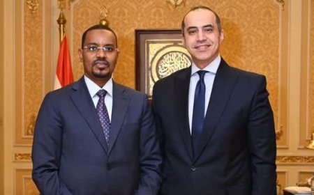 وزير الشئون النيابية يستقبل إلياس شيخ عمر أبو بكر وزير الدولة للعدل بجمهورية الصومال