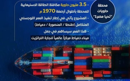 تشغيل خط "الرورو" المصري الإيطالي من ميناء دمياط إلى ميناء تريستا