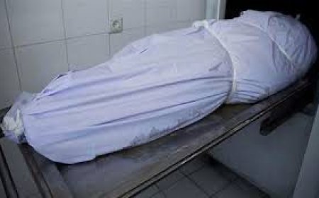 ربة منزل لقيت مصرعها على يد طليقها طعنًا