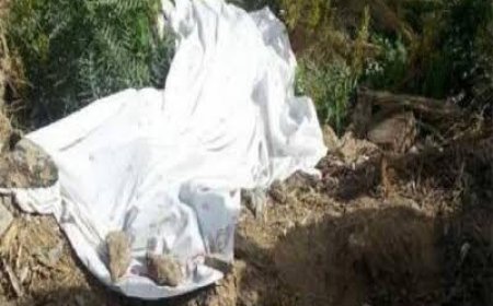 العثور على جثه شخص بطريق مصر إسكندرية الزراعي