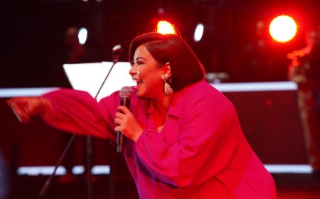 رسالة قوية من شيرين للصحافة: شكرًا لدعمكم في عودتي (صوت)