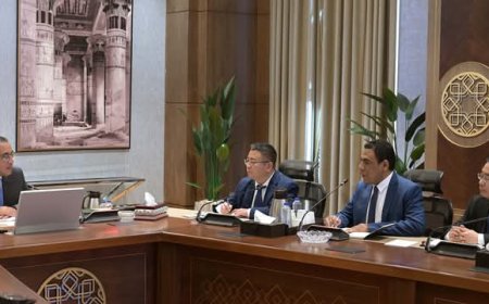 رئيس الوزراء يلتقي نائب رئيس شركة "جريت وول موتورز" لبحث إنشاء أكبر مصنع للشركة خارج الصين