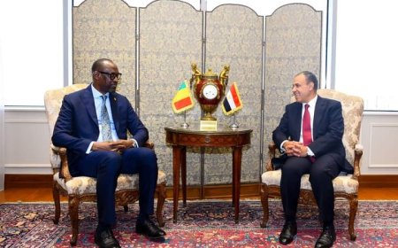 "وزير الخارجية والهجرة يستقبل نظيره المالي في القاهرة لتعزيز العلاقات الثنائية