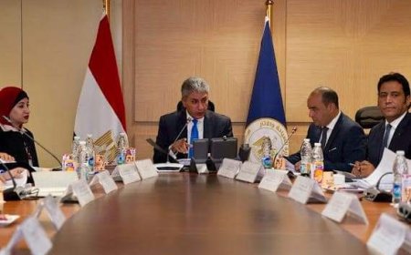 مليون زائر لـ معرض "قمة الهرم" حضارة مصر القديمة بالصين .. واسترداد 67 قطعة أثرية من ألمانيا