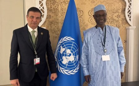 وزير الزراعة يلتقي الأمين التنفيذي لاتفاقية الأمم المتحدة لمكافحة التصحر