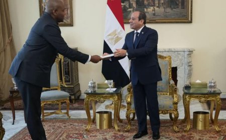 السيسي يستقبل المستشار الخاص للرئيس الكونغولي