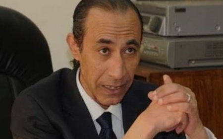 المجلس الأعلى لتنظيم الإعلام: عصام الأمير وكيلًا للمجلس