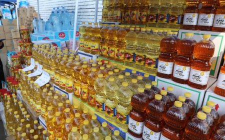 غدا..سوق اليوم الواحد بإمبابة يفتح ابوابه للمواطنين