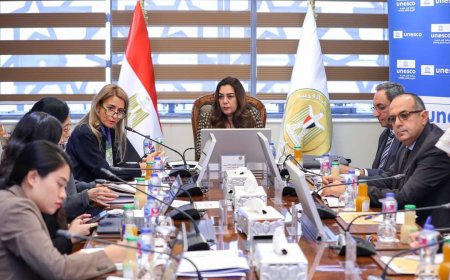 بالفيديو كونفرانس .. وزيرة التنمية المحلية ومديرة مكتب اليونسكو بالقاهرة يعقدان اجتماعاً مع  المحافظين