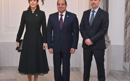 الرئيس عبد الفتاح السيسى يلتقى بالملك بفريدريك العاشر ملك الدنمارك