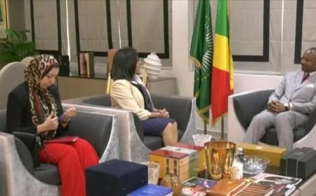 السفيرة المصرية في برازافيل تلتقى وزير التعاون الدولي لبحث سبل تعزيز التعاون بين البلدين