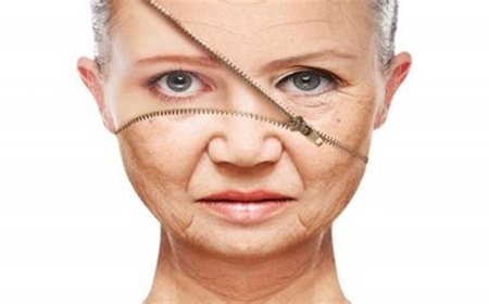 رؤى جديدة حول كيفية تأثير الشيخوخة على تجديد خلايا العضلات