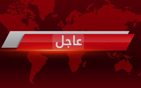 مصر تطالب السيادة السورية بتغليب المصلحة العليا للبلاد