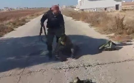 المعارضة تنتصر..و بشار يهرب.. و السوريين يرقصون فى الشوارع