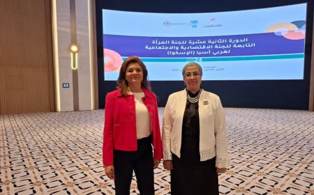 المستشارة أمل عمار تلتقى مديرة مجموعة السكان والعدالة بين الجنسين والتنمية الشاملة بالإسكوا