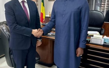 السفير المصرى في السنغال يبحث مع وزير الدفاع تعزيز التعاون في الدفاع والتنمية