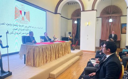 وزير الخارجية يلتقي برموز الجالية المصرية في الصين