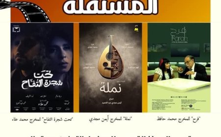 السبت..المركز القومي للسينما فعاليات نادي السينما المستقلة بالقاهرة