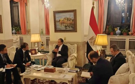 وزير الخارجية يلتقي بنائب رئيس مجلس إدارة شركة "china Gezhouba Group International Engineering"