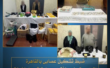 ضبط تشكيل عصابي تخصص في تصنيع الأدوية والعقاقير المغشوشة لـ تهريبها خارج البلاد