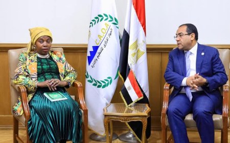 رئيس التنظيم والإدارة تستقبل المقررة الخاصة بمصر في اللجنة الإفريقية لحقوق الإنسان والشعوب