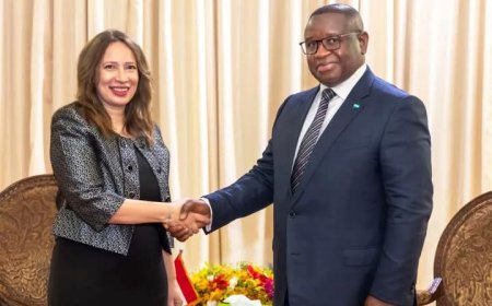رشا سليمان تقدم أوراق اعتمادها سفيرة في سيراليون