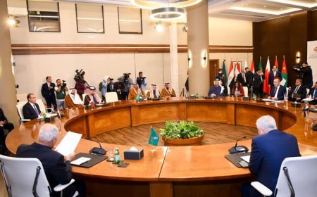 تعرف على كلمة وزير الخارجية في اجتماع لجنة الاتصال العربية حول سوريا