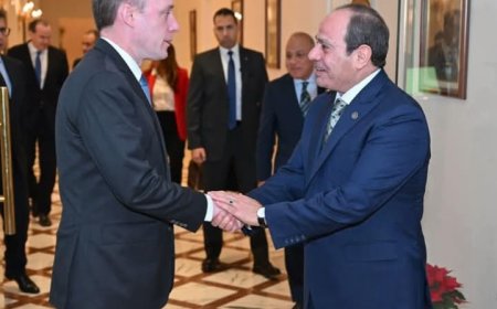 السيسي يستقبل مستشار الأمن القومي الأمريكي ومنسق الشرق الأوسط وشمال إفريقيا