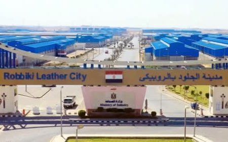 إطلاق الطرح الأول للمصانع الجاهزة بمدينة الجلود بالروبيكي بالمرحلة الثالثة