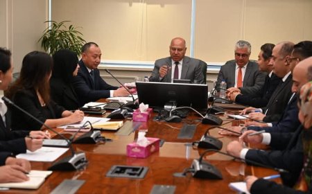 كامل الوزير يلتقي رئيس شركة شين فينج إيجيبت الصينية لبحث مستجدات خطة إنشاء مجمع صناعي متكامل