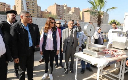محافظ الجيزة يتابع انتظام تشغيل سوق اليوم الواحد بالعمرانية