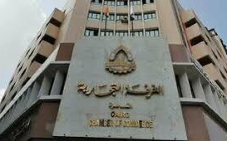 شركات تركية تسعى لإقامة منطقة حرة مخصصة للصناعات النسيجية في مدينة السادات