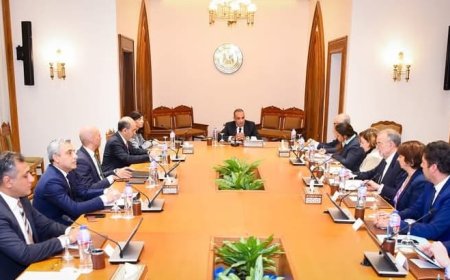 وزير الخارجية يستقبل وفد من لجنة الشئون الخارجية بمجلس الشيوخ الفرنسي