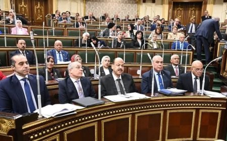 وزير الشئون النيابية القانونية والتواصل السياسي، يشارك بالجلسة العامة لمجلس النواب