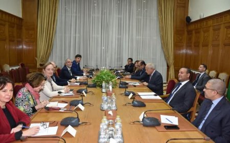 أبو الغيط يستقبل وفد مجلس الشيوخ الفرنسي