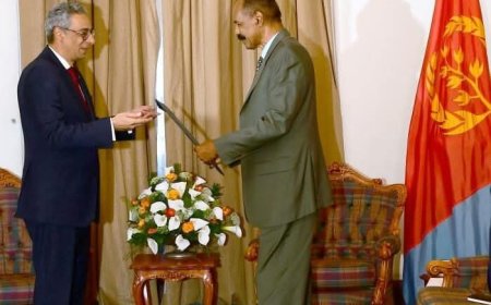 السفير المصري في إريتريا يقدم أوراق اعتماده للرئيس الاريتري