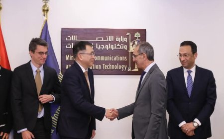 طلعت يناقش التعاون في دي إكس تطوير البنية التحتية الرقمية في قرى الحياة الكريمة