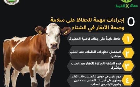 "معاك في الغيط" تنشر توصيات هامة لرعاية الماشية في فصل الشتاء