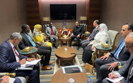 وزير الإسكان يبحث التعاون المشترك مع نظيرة السودانى